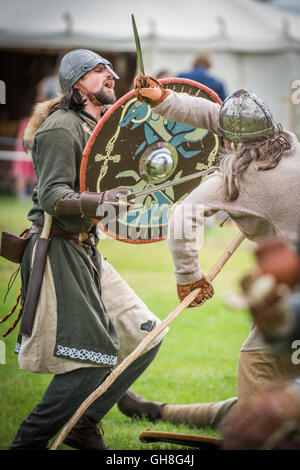 Two viking are fighting with axes and shields on the winter meadow ...