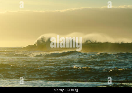 Backlit Rolling Waves at dawn, Gerringong , Illawarra Coast, New South Wales, NSW, Australia Stock Photo