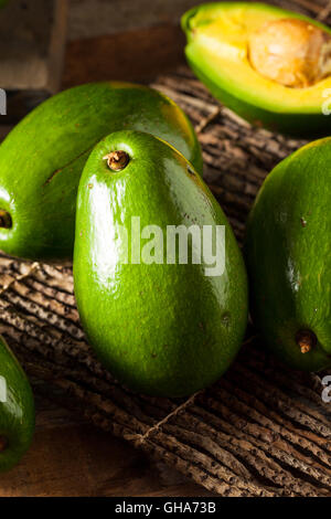 Raw Green Organic Florida Avocados Ready to Eat Stock Photo