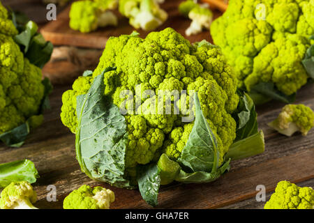 Raw Organic Green Broccoli Cauliflower Ready for Cooking Stock Photo