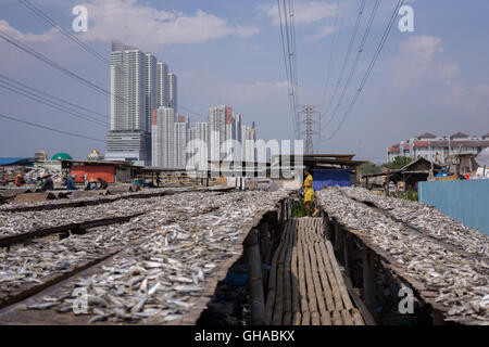 North Jakarta, Indonesia. 07th Aug, 2016. Dried fish in the fish market area Muara Angke. Based on the latest data from Indonesia's Statistics Agency (BPS), Indonesia's fishery sector expanded 8.37 percent in the third quarter of 2015, considerably higher than the nation's overall eonomic growth (at 4.73 percent) in the same quarter. Indonesian exports of fishery products stood at USD $244.6 million in October 2015, while imports only reached USD $12.5 million (implying a trade surplus of USD $232.04 million). © Anton Raharjo/Pacific Press/Alamy Live News Stock Photo