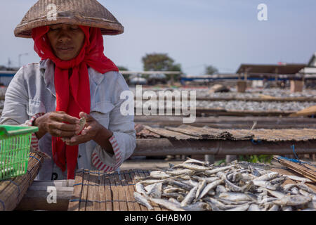 North Jakarta, Indonesia. 07th Aug, 2016. A worker drying fish in the fish market area Muara Angke. Based on the latest data from Indonesia's Statistics Agency (BPS), Indonesia's fishery sector expanded 8.37 percent in the third quarter of 2015, considerably higher than the nation's overall eonomic growth (at 4.73 percent) in the same quarter. Indonesian exports of fishery products stood at USD $244.6 million in October 2015, while imports only reached USD $12.5 million (implying a trade surplus of USD $232.04 million). © Anton Raharjo/Pacific Press/Alamy Live News Stock Photo