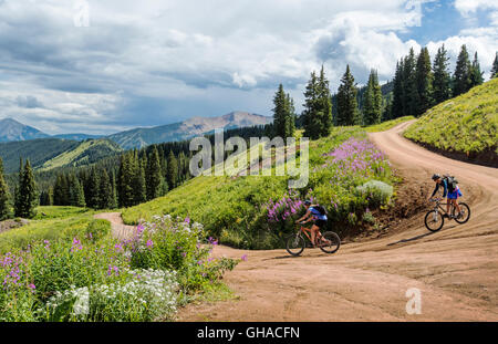 Two female mountain bikers riding down Washington Gulch Road north of Crested Butte; Colorado; USA Stock Photo
