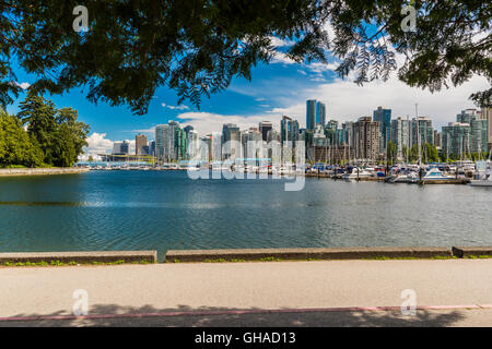 City skyline as seen from Stanley Park, Vancouver, British Columbia, Canada Stock Photo