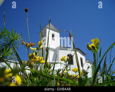 Through field flowers and grass,look at Catholic chapel in Prijepolje, Serbia ... Stock Photo