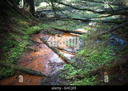 Small stream with dark red water runs through wild forest, old fallen trees lay over it