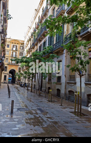 Old style passageway in Barcelona (Spain),Pasage de la Paz (Passage of Peace) Stock Photo
