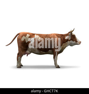 Cow on white background isolated 3d rendering Stock Photo