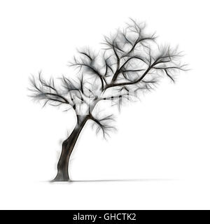 Sketch of winter tree without leaves on white background Stock Photo