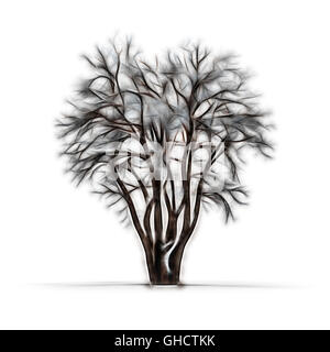 Sketch of winter tree without leaves on white background Stock Photo