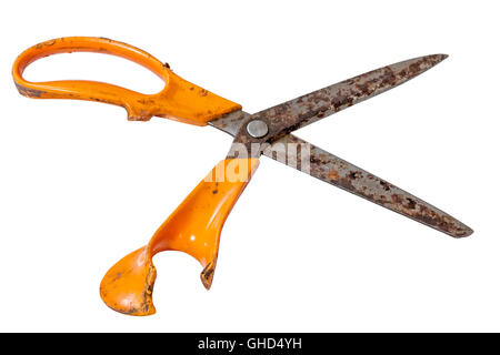 Isolated vintage pair of broken rusting and damaged dressmaking scissors on white background Stock Photo