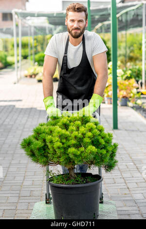 Delivery in the flowers shop Stock Photo