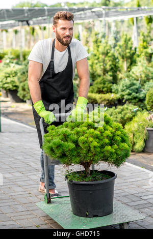 Delivery in the flowers shop Stock Photo