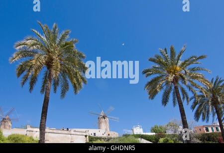 Windmill and palm trees at Es Jonquet in Palma de Mallorca, Balearic islands, Spain on April 10, 2016. Stock Photo