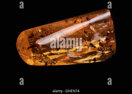 A piece of amber with a cricket, ants and mosquitos isolated on black background, and with a linear reflection on it. Stock Photo