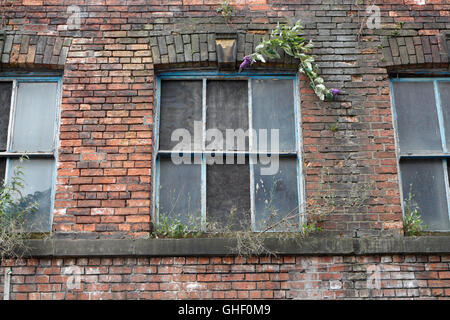 Wharncliffe works in Shalesmoor Sheffield England UK, Abandoned factory building awaiting redevelopment, listed building Stock Photo