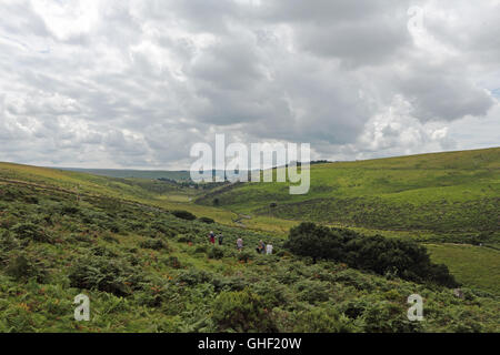 Wistmans Wood Dartmoor National Park, Devon England UK Stock Photo