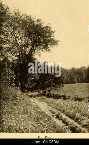 Bird Paradise; an intimate account of a life-long friendship with bird parishioners (1914) Stock Photo