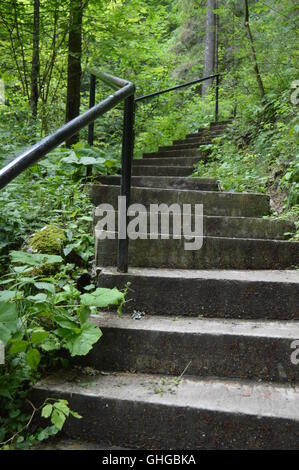 Cement stairs leading to a cave through a forest Stock Photo