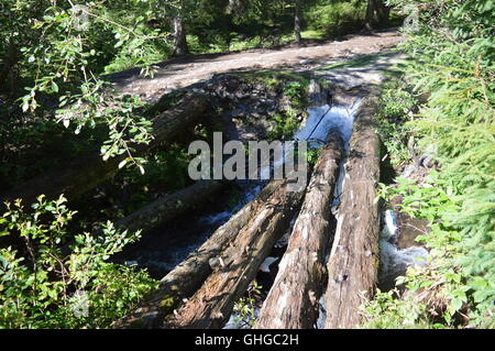 Natural bridge made of pine logs Stock Photo - Alamy