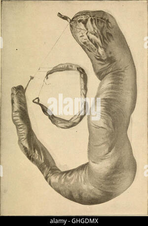 Geriatrics - the diseases of old age and their treatment, including ...