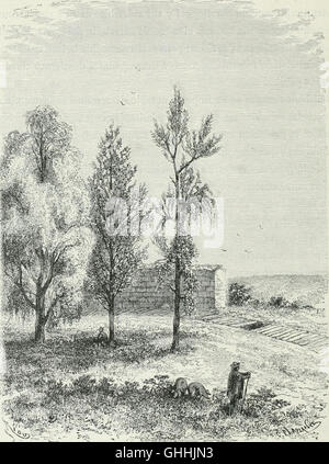 América pintoresca; descripcion de viajes al nuevo continente por los mas modernos exploradores (1884) América pintoresca; descripcion de viajes al nuevo continente por los mas modernos exploradores (1884)