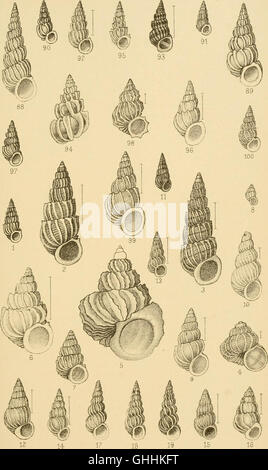 An 1887 manual detailing the structure and classification of mollusks ...