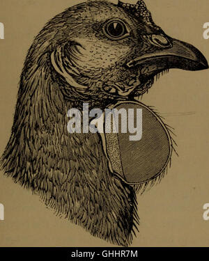 'Evolution and Disease' (1890) examines the relationship between ...