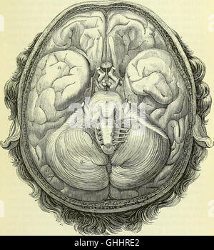 On the Anatomy of Vertebrates (1866) is a detailed examination of ...