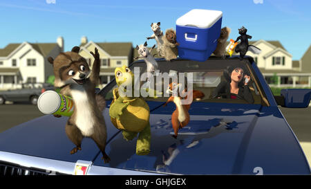 AB DURCH DIE HECKE / Over the hedge USA 2006 / Tim Johnson, Kary KirACKtrick RJ the raccoon, Verne the turtle, Hammy the squirrel make a run for it with their snacks, accompanied by Ozzie and Heather the possums, Lou and Penelope the porcupines and Stella the skunk on top of Glady's car. Regie: Tim Johnson, Kary Kirkpatrick aka. Over the hedge Stock Photo