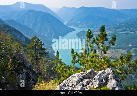 Viewpoint Banjska stena at Tara mountain looking down to Canyon of Drina river Stock Photo