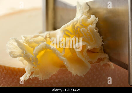https://l450v.alamy.com/450v/ghk14w/shaving-of-tete-de-moine-cheese-on-a-girolle-close-up-ghk14w.jpg