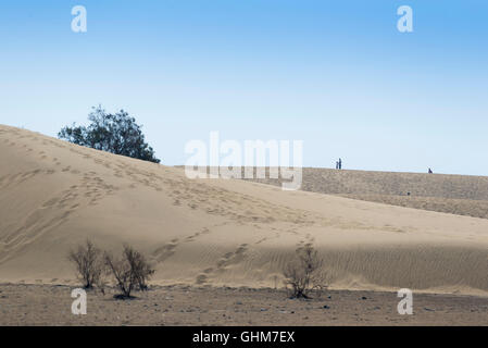 Natural Reserve of Dunes of Maspalomas, in Gran Canaria, Canary Islands, Spain Stock Photo