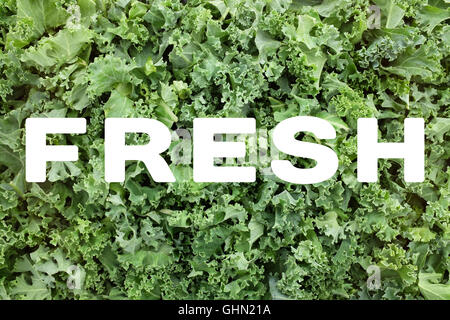 FRESH concept text written over green chopped kale leaves background Stock Photo