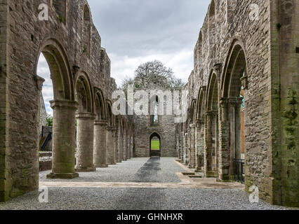 Boyle Abbey Co.Roscommon Ireland Stock Photo