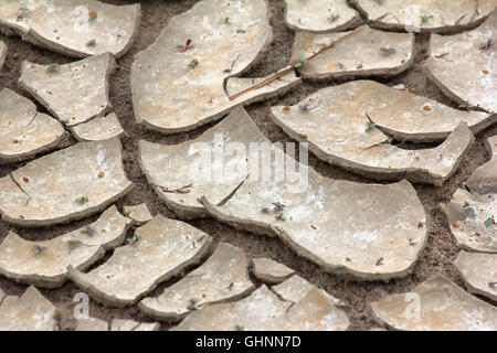 The bottom of dried-up pond with picturesquely broken mud. On surface - small plants Stock Photo