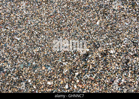 Sea sand texture made of shell and stone pieces. Seamless texture Stock Photo