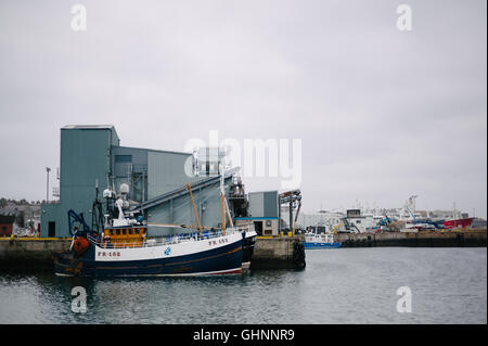 Fishing boats, North Sea trawlers in Fraserburgh Harbour. Stock Photo