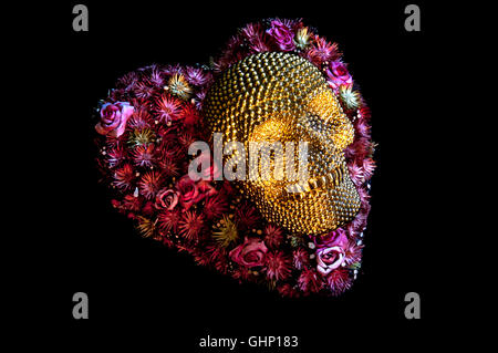 Concept image of smiling gold skull lying on heart shaped flower arrangement on black background Stock Photo
