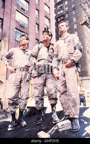 Die Geisterjäger Dr. Venkman (BILL MURRAY, r.), Dr. Stantz (DAN AYKROYD,l.) und Dr. Spengler (HAROLD RAMIS, m.) sollen seltsame Vorgänge in der öffentlichen Bibliothek von New York untersuchen. Regie: Ivan Reitman aka. Ghostbusters Stock Photo