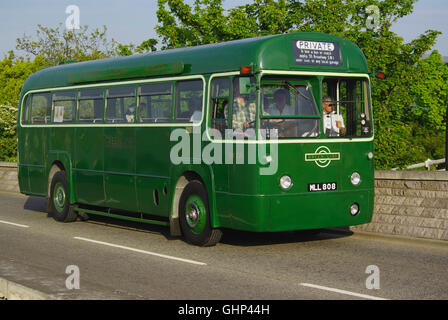 Vintage Green Line bus ML 808, at Conwy Stock Photo