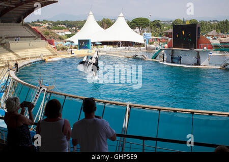 Marineland, in Antibes, France Stock Photo