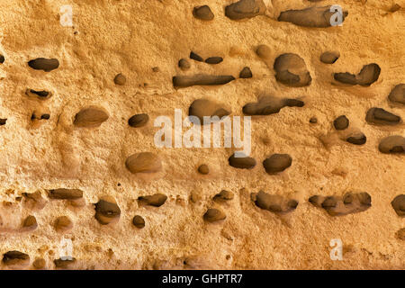 Full of holes sea stone background closeup Stock Photo