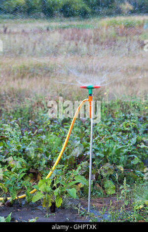 Watering garden equipment working in the ground Stock Photo