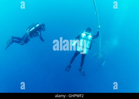 scuba diver on Safety line doing decompression Stop, Rosalie Moller, Wreck, Red Sea, Egypt, Africa Stock Photo
