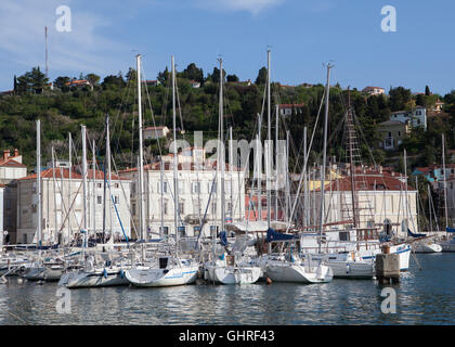 Habour in Piran,Slovenia. Stock Photo