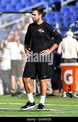 Baltimore, USA. 11th Aug, 2016. JOE FLACCO watches his teammates warm up before the first 2016 pre-season football game at M & T Bank Stadium, Baltimore, Maryland. Credit:  Amy Sanderson/ZUMA Wire/Alamy Live News Stock Photo