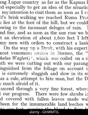 Wanderings in the great forests of Borneo; travels and researches of a naturalist in Sarawak (1904)