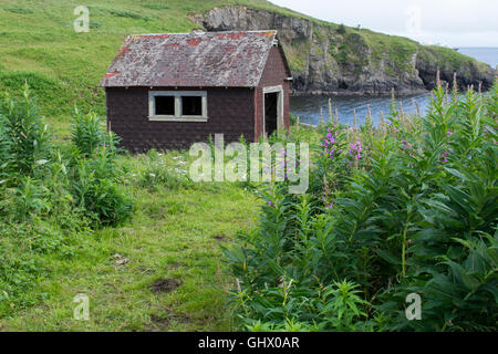 Alaska, Aleutian Islands, Unga Island, Unga Village. Abandoned gold mining village. Stock Photo