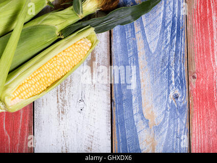 Freshly harvested corn on rustic wooden boards painted red, white and blue for USA national colors. Stock Photo